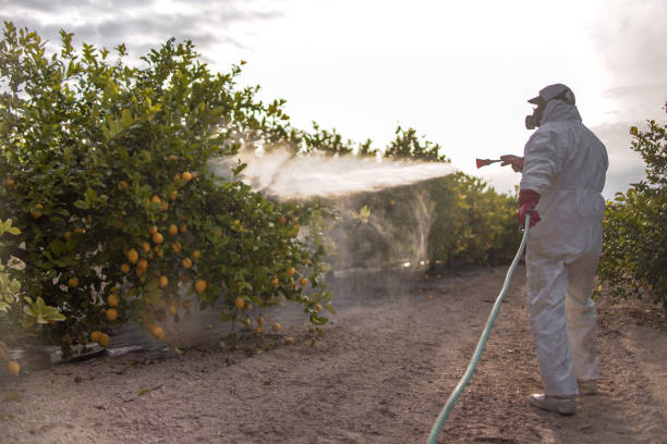 Best Mosquito Control Services  in Sag Harbor, NY