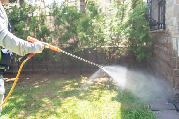 Insect Control in Sag Harbor, NY