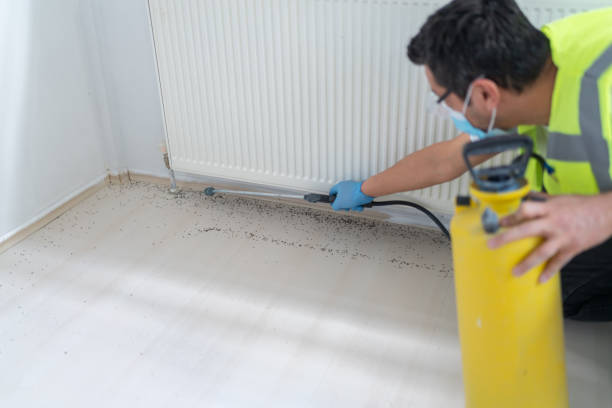 Best Pest Control Near Me  in Sag Harbor, NY